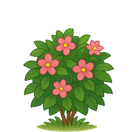 Shrub with Flowers